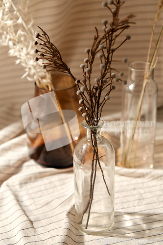 Image of decorative dried flowers in vases and bottles