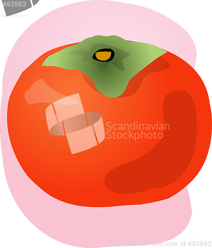 Image of Persimmon fruit illustration
