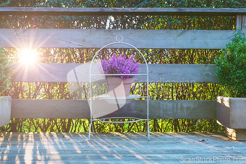 Image of Violet heather in a clay pot on a wooden terrace