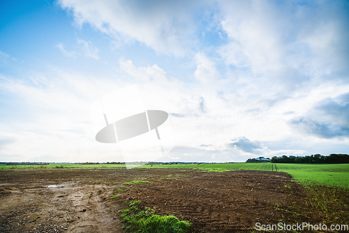 Image of Rural landscape with tractor tracks