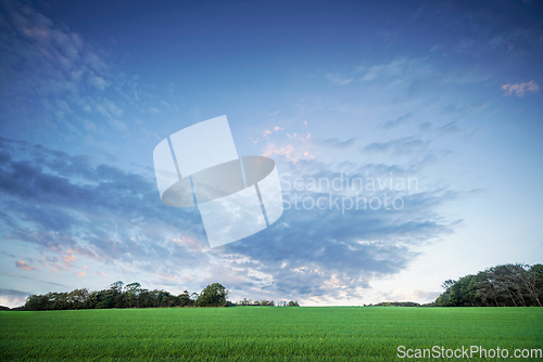 Image of Rural landscape at dawn with green crops