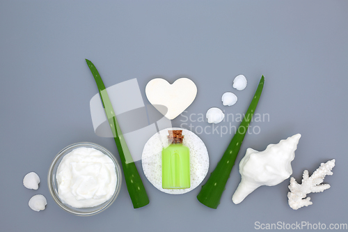 Image of Aloe Vera Herbal Plant Medicine Beauty Treatment 