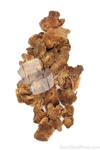 Image of Atractylodes Root Chinese Herb