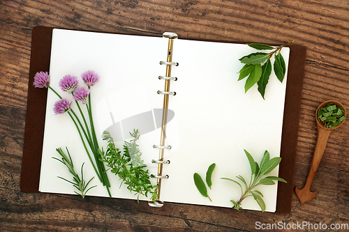 Image of Fresh Kitchen Garden Herbs with Recipe Book