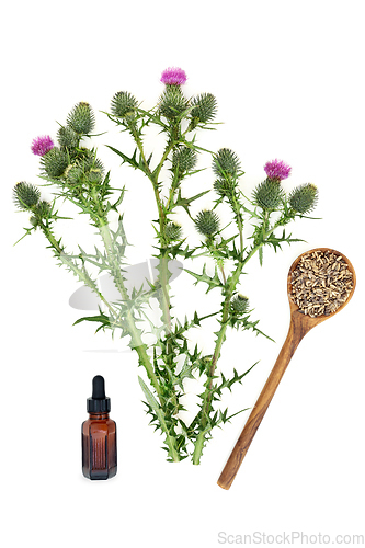 Image of Milkthistle Herb for Liver Disorders