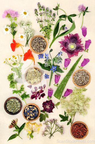 Image of Natural Healing Herbs for Alternative Medicine