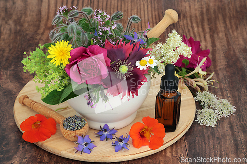 Image of Healing Herbs and Flowers for Herbal Plant Based Medicine