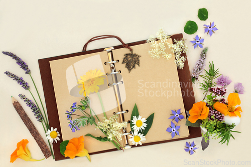 Image of Garden Planner Study with Summer Flowers and Herbs