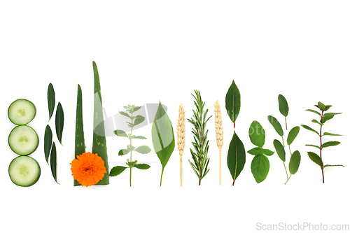 Image of Herbs for Natural Alternative Vegan Skincare  