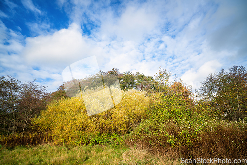 Image of Colorful nature scene in a wilderness setting