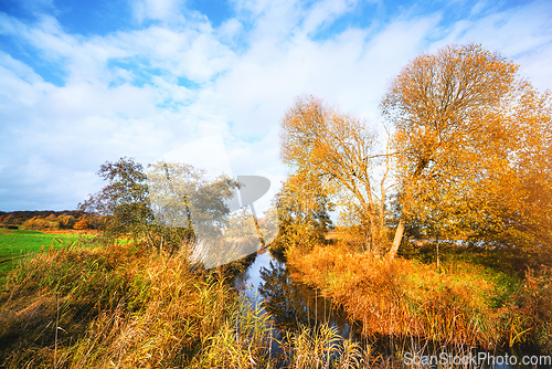 Image of Small creek in a rural autumn landscape