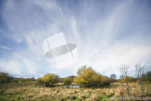 Image of Rural wilderness landscape with colorful trees