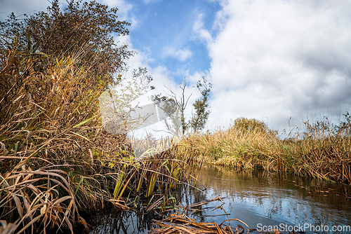 Image of Nature scenery with a small river