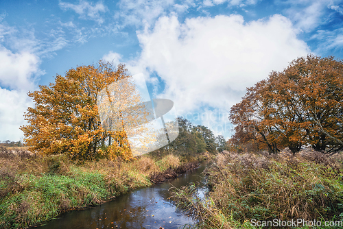 Image of Autumn colors by a small river in the fall