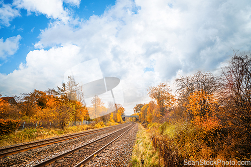 Image of Railroad tracks going through a colorful autumn scenery