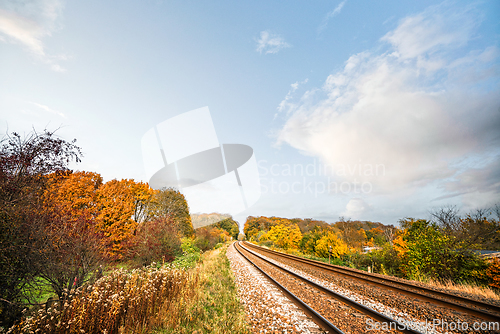 Image of Railraod tracks in the fall on a bright day