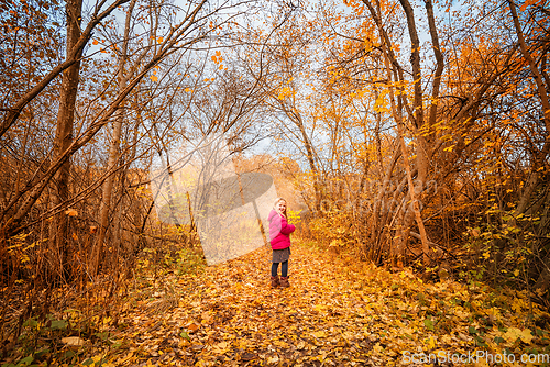 Image of Happy girl in a colorful yellow forest