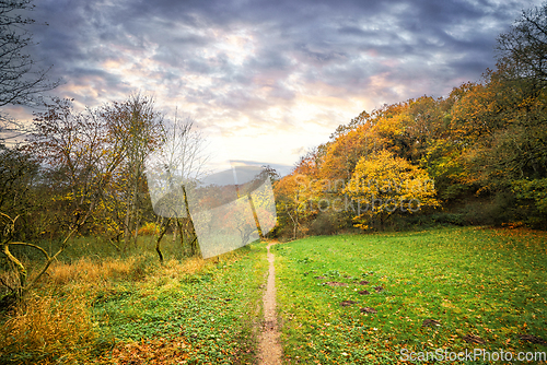 Image of Autumn landscape with a nature trail