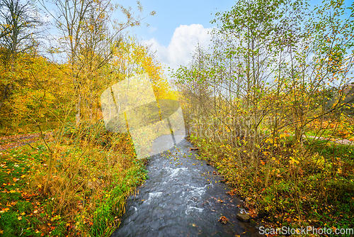Image of Autumn scenery with a river stream
