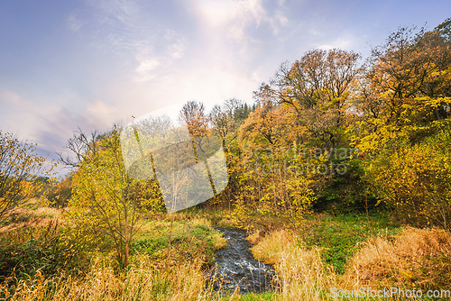 Image of Colorful nature in the fall with a small creek