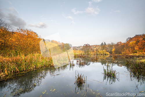 Image of Idyllic lake scenery in the fall with trees