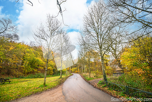 Image of Road going through a park in the fall