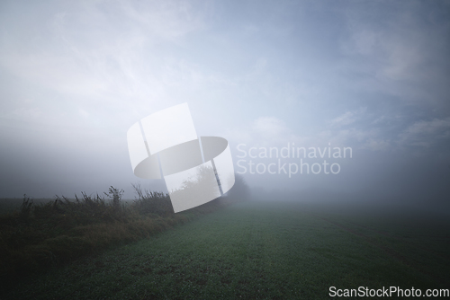 Image of Morning mist on a rural field with agricltural crops