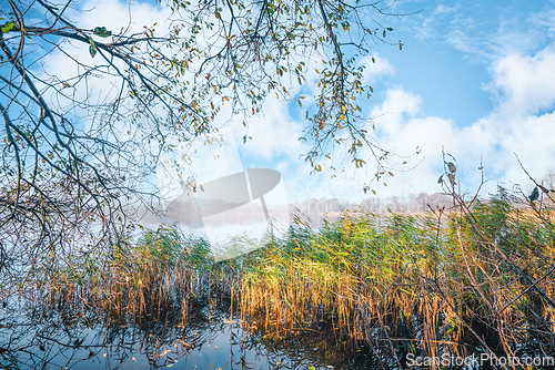 Image of Idyllic lake scenery in the fall