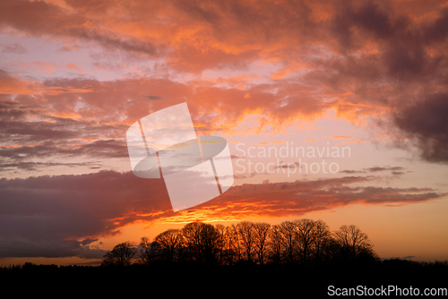 Image of Sunset in golden colors over a small forest