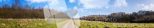 Image of Countryside road on a green field in the early spring