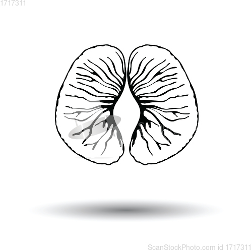 Image of Icon of Mandarin