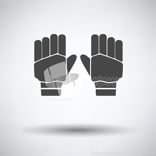 Image of Pair of cricket gloves icon