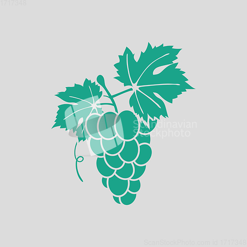 Image of Icon of Grape
