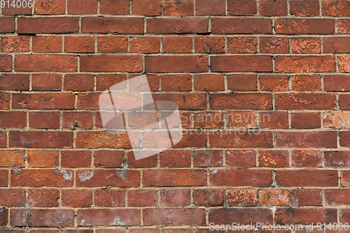 Image of Brick wall texture