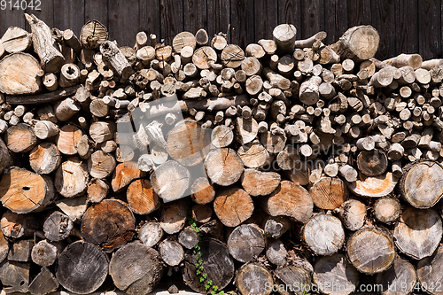 Image of Stacked wood pine timber