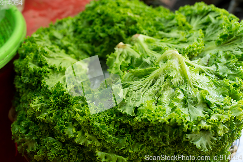 Image of Lettuce cabbage green in wet market 