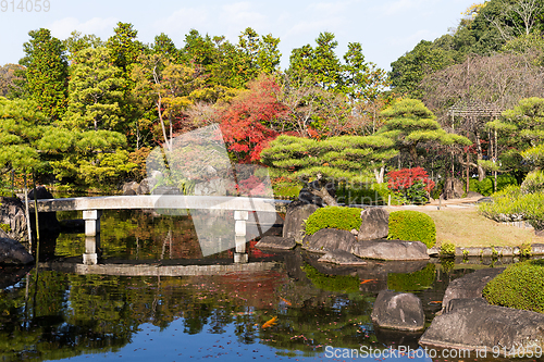 Image of Japanese garden in autumn