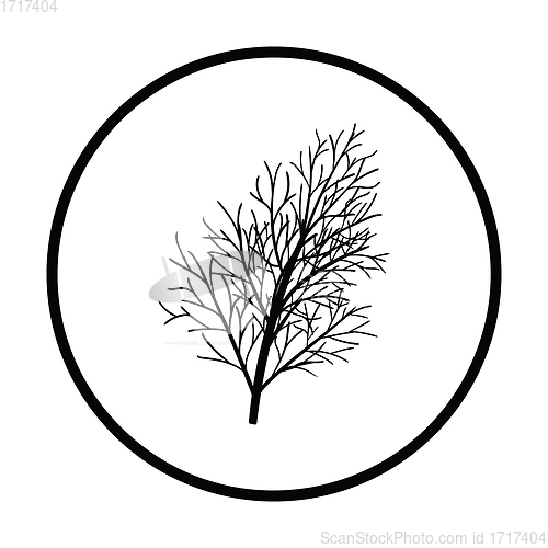 Image of Dill icon