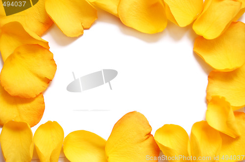 Image of Blank white gift card on a bed of yellow rose petals 