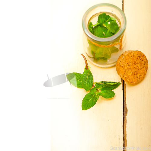 Image of fresh mint leaves on a glass jar