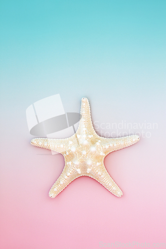 Image of Starfish Seashell Natural Symbol on Pastel Blue Pink Background