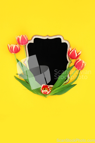 Image of Spring Tulip Minimal Background Border Composition