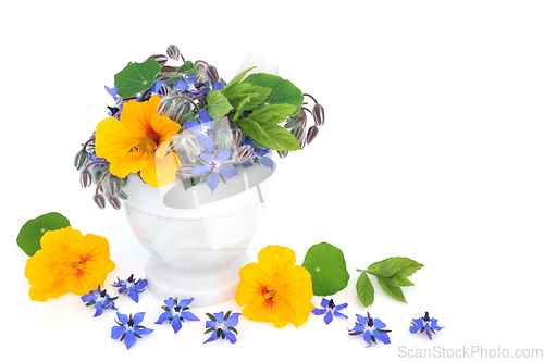 Image of Nasturtium and Borage Herbal Plant Remedy for Colds and Flu