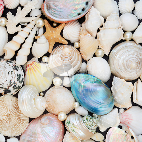 Image of Natural Sea Shell and Pearl Background Collection