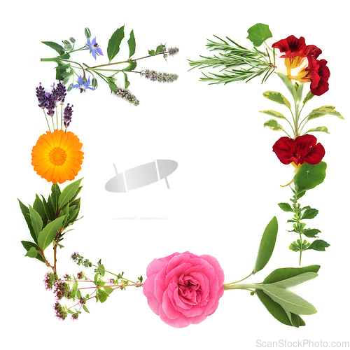 Image of Abstract Floral Summer Wreath with Flowers and Herbs