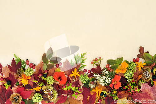 Image of Leaves and Flowers of Autumn and Thanksgiving Background Border