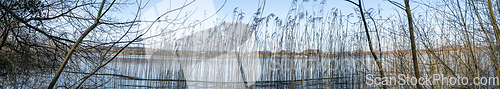 Image of Panorama scenery with rushes by the shore