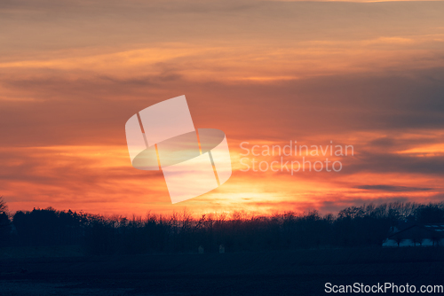 Image of Fire in the sky sunset over a row of tree silhouettes