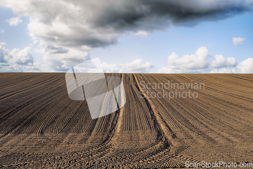 Image of Plowed field with tracks under a blue sky