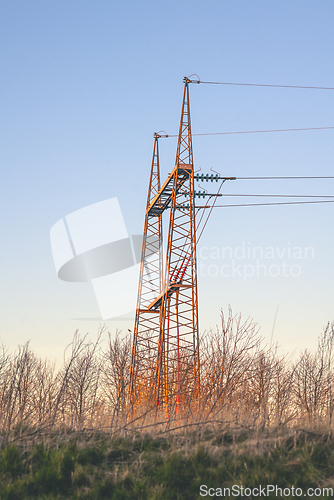 Image of Red pylons in wild nature at dawn